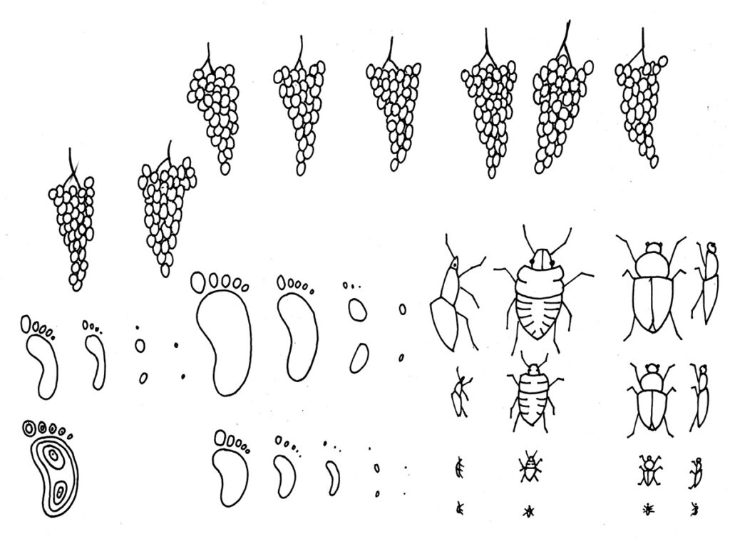 Huella de carbono de Bodegas Robles por Rafael Obrero