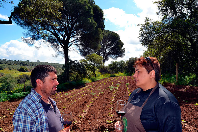 Bodegas Robles presenta «El origen» en la Cata del Vino.