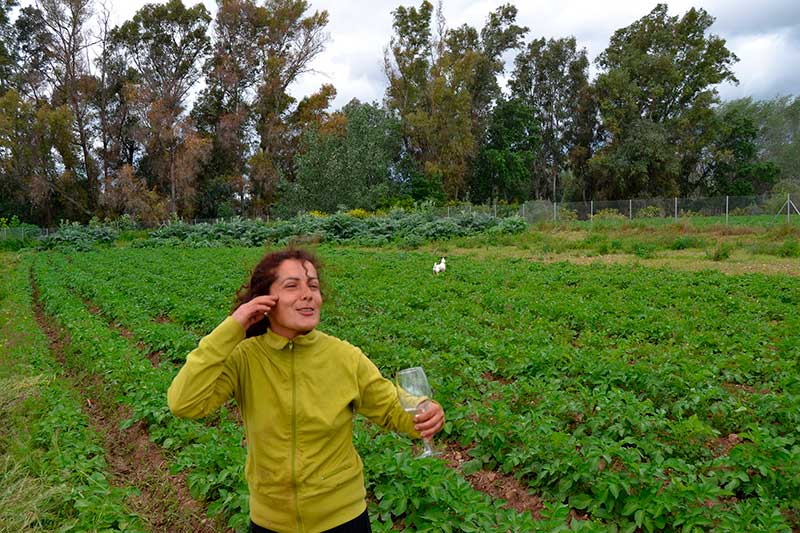 Hermisenda. Huerta natural.