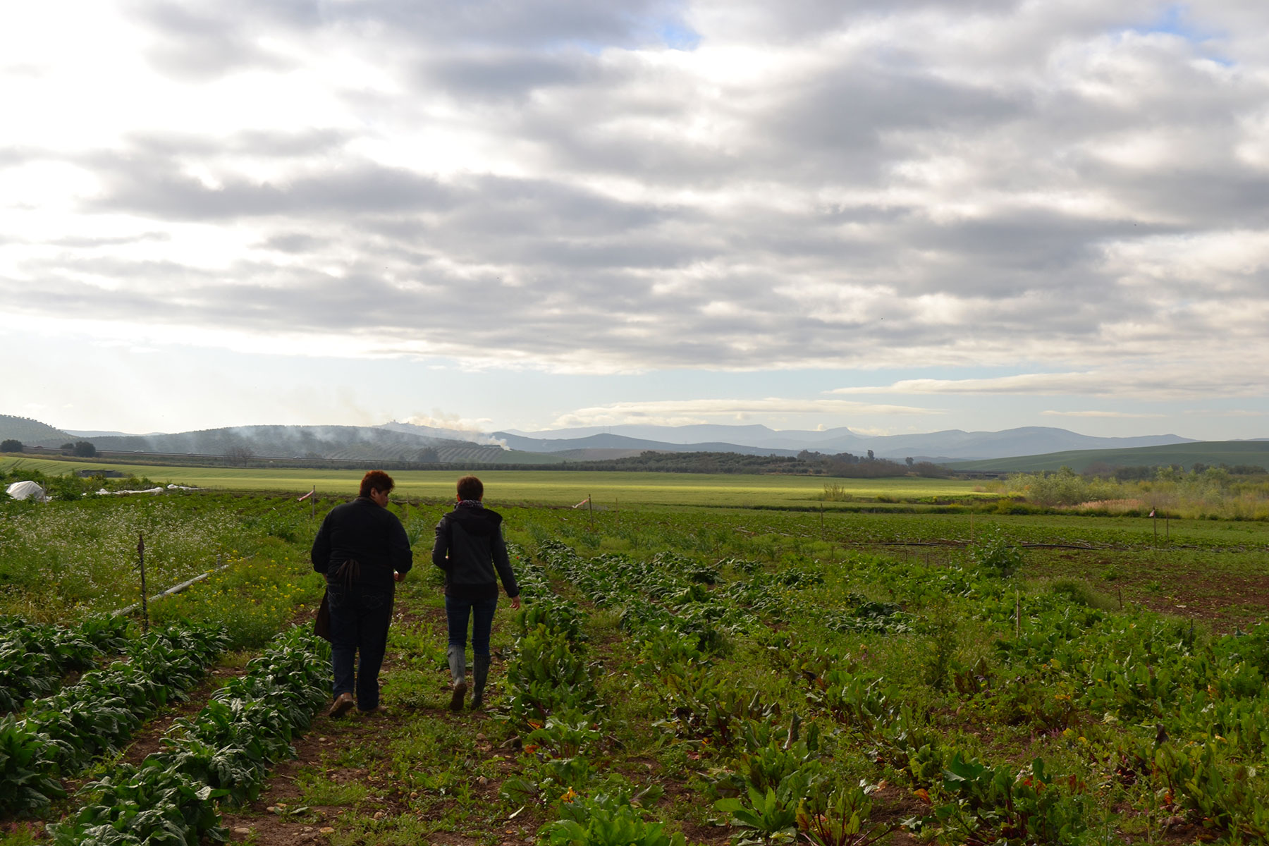 #elorigen. Visita a la huerta de Luna Millán (Santa Cruz). / La Balanza.