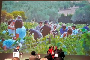 Bodegas Robles collects the wine tourism award Wine Routes of Spain.