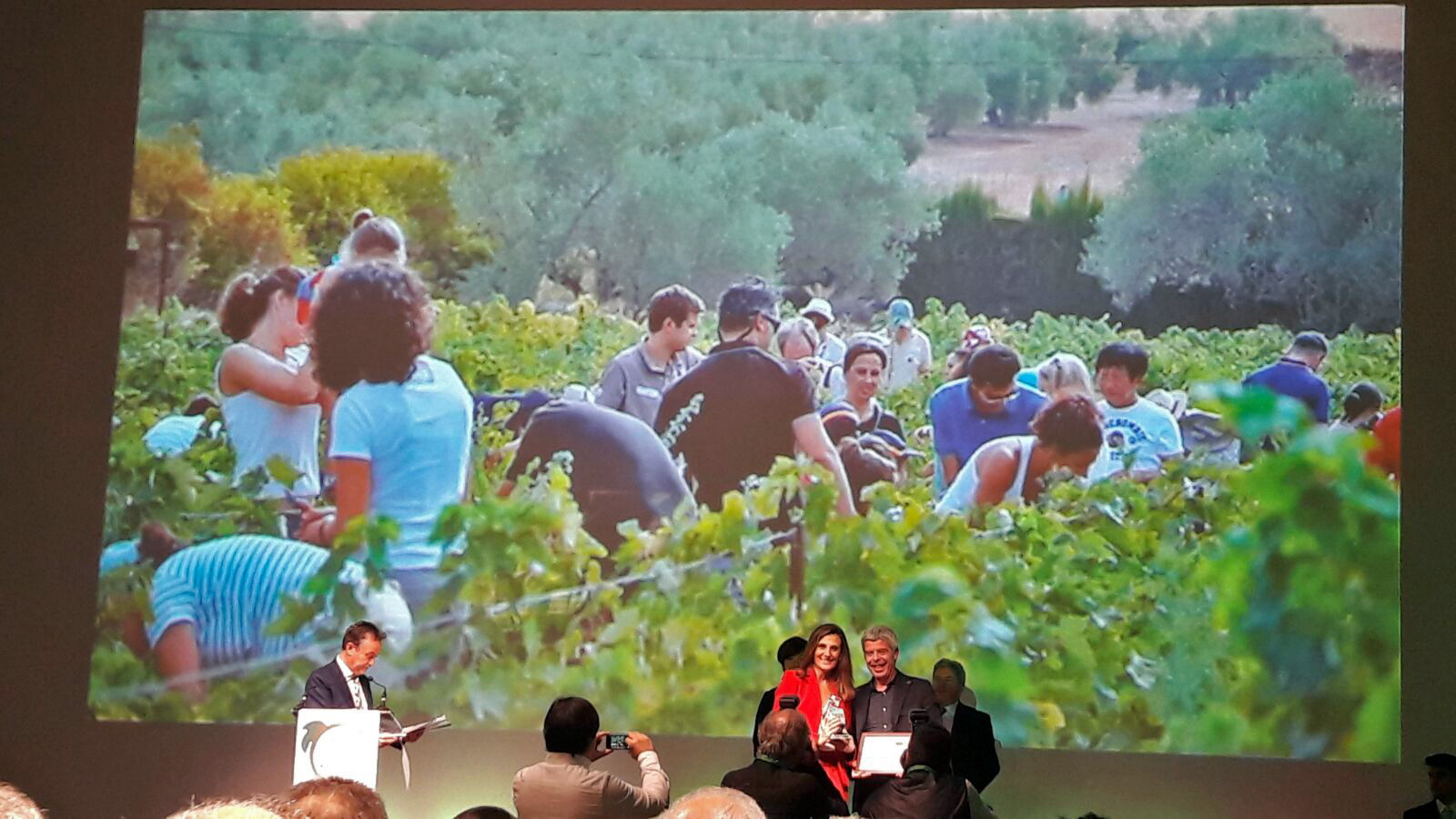 Bodegas Robles recoge el Premio de enoturismo “Rutas del Vino de España”-