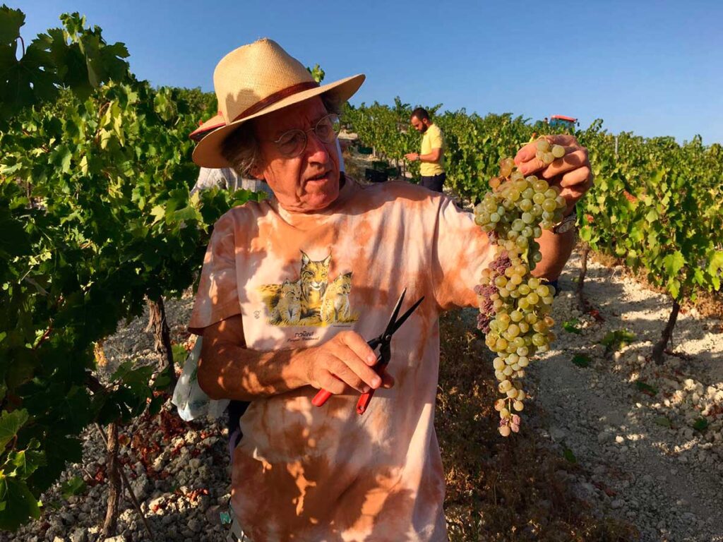 Ezequiel Martínez comparte una jornada de vendimia en el viñedo Villargallegos de Bodegas Robles