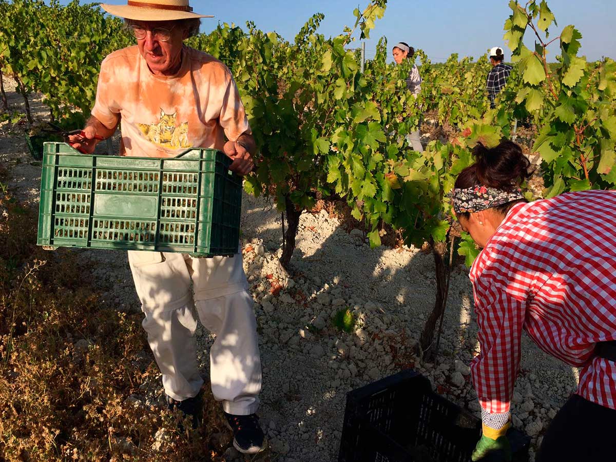Ezequiel Martínez comparte una jornada de vendimia en el viñedo Villargallegos de Bodegas Robles