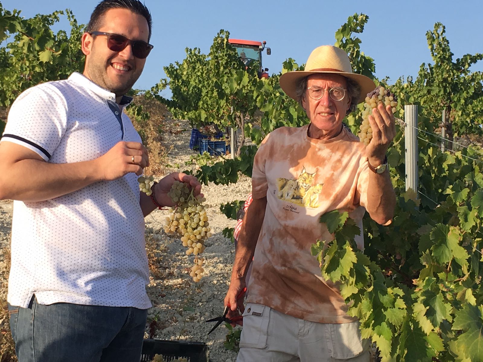 José Álvarez, alcalde de Santaella, y Ezequiel Martínez comparten una jornada de vendimia en el viñedo Villargallegos de Bodegas Robles