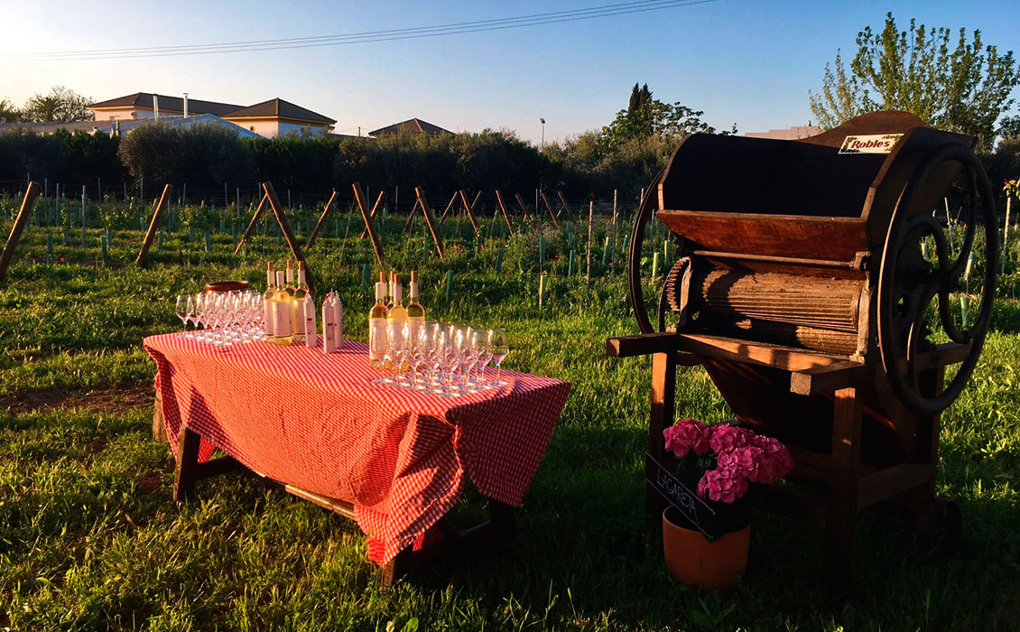 Bodegas Robles en Patios de Bodega