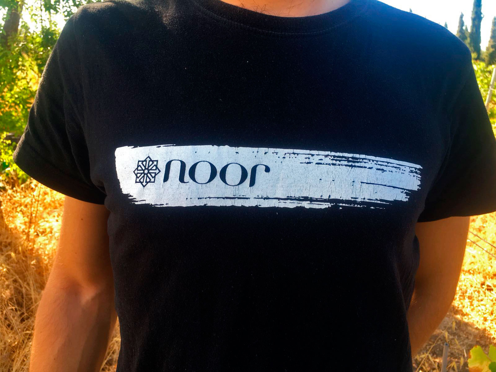 Recolección de hoja de vid / Restaurante Noor