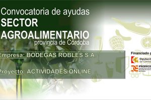 Bodegas Robles apuesta por el canal online