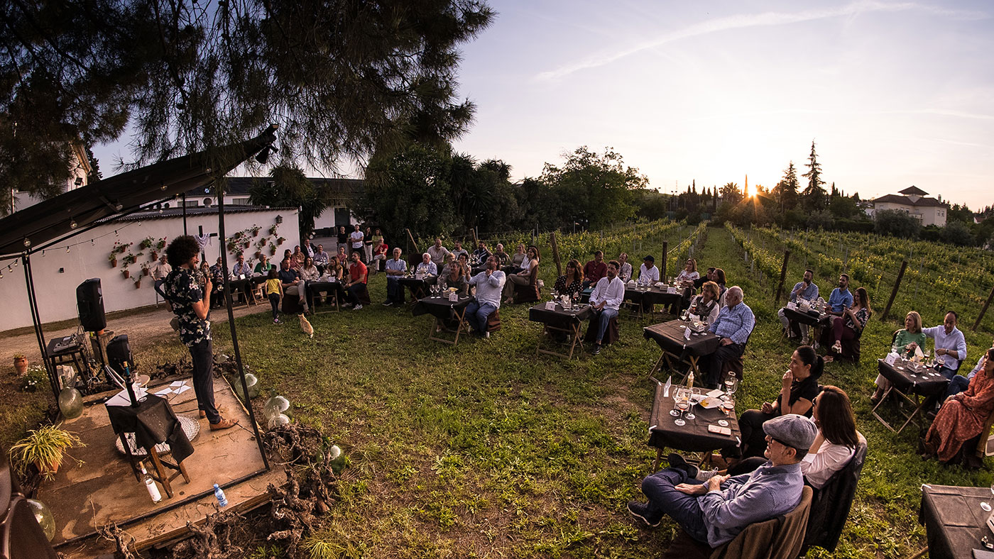 Cata-Cómica en el viñedo de Bodegas Robles con Andrés Berlanga