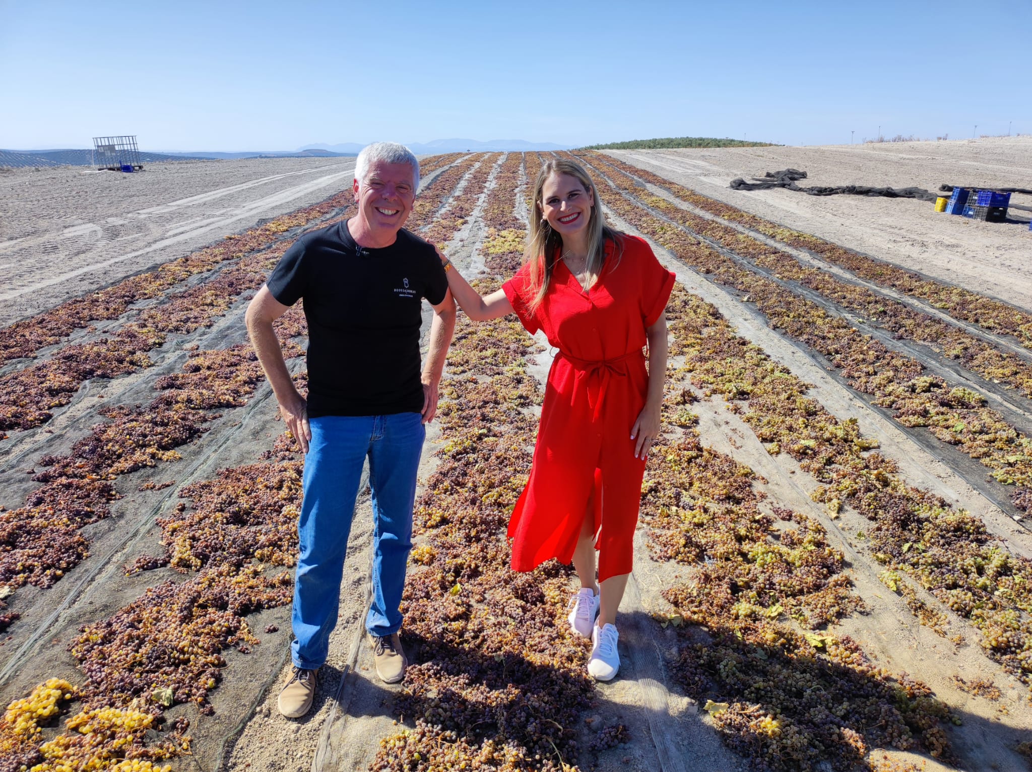 Visita de TVE a la vendimia de Pedro Ximénez